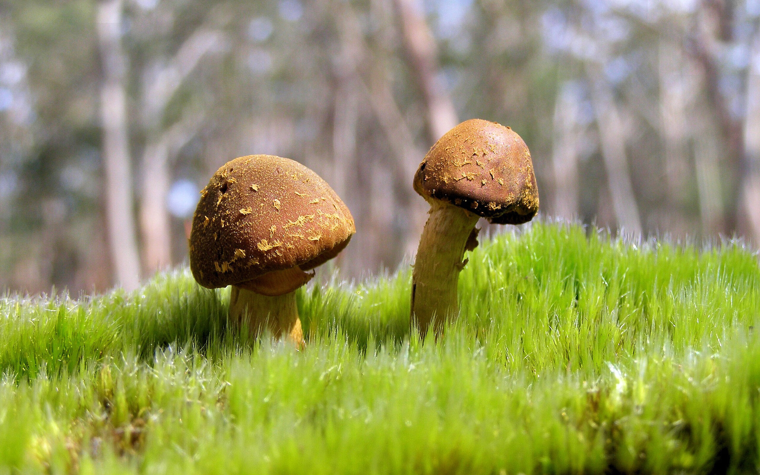 边路突破效率对联赛中几支强队进攻节奏影响，边路突破 下底传中