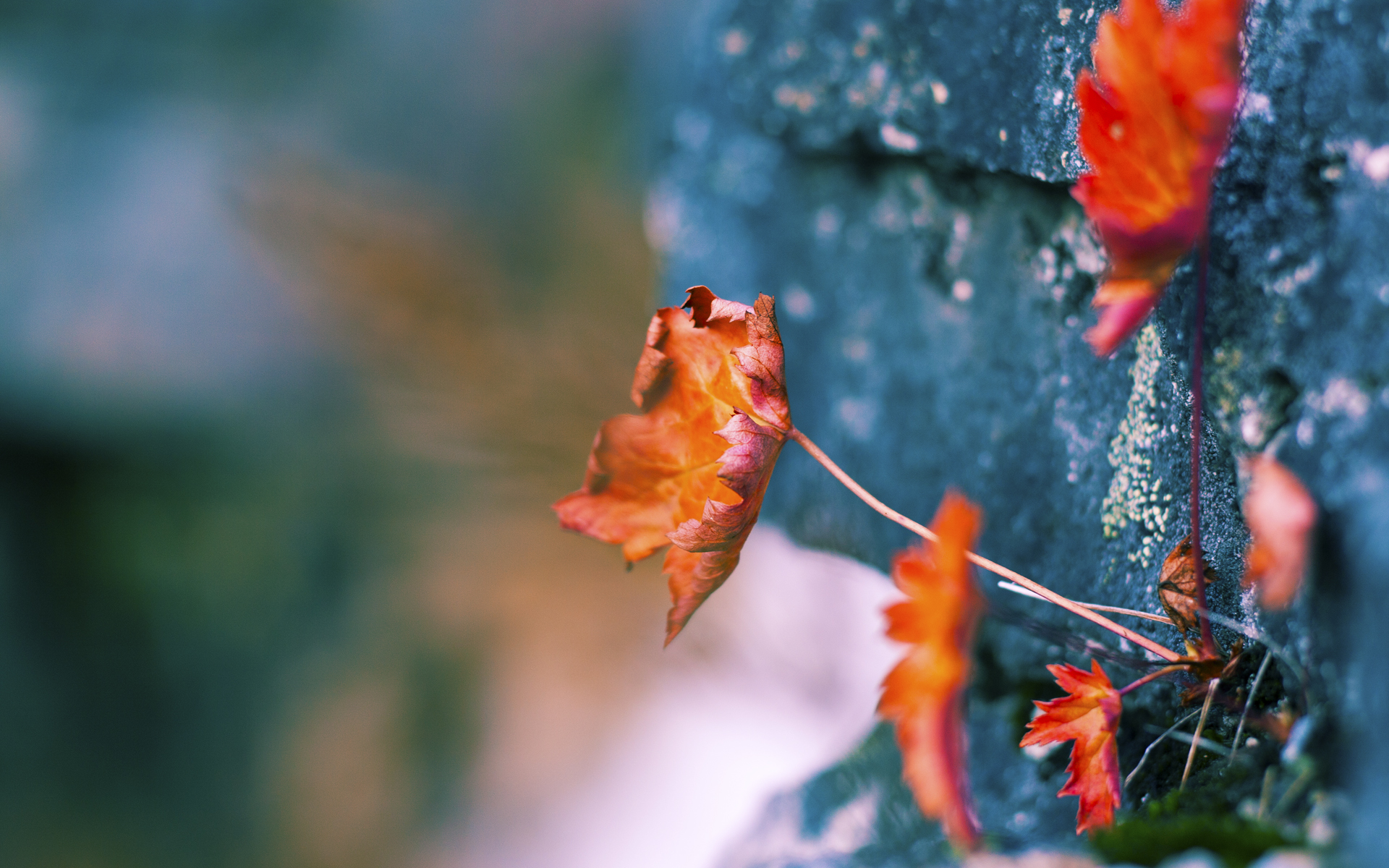 青训基地引入智能灯光系统优化训练时段安排，青年训练基地